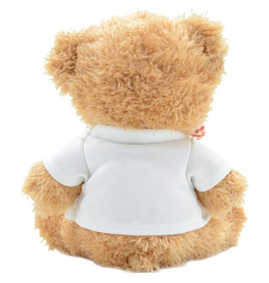 Η γρήγορη αναπήδηση 20cm τόξο Teddy Hoodie αντέχει τα παιχνίδια βελούδου για τα παιδιά